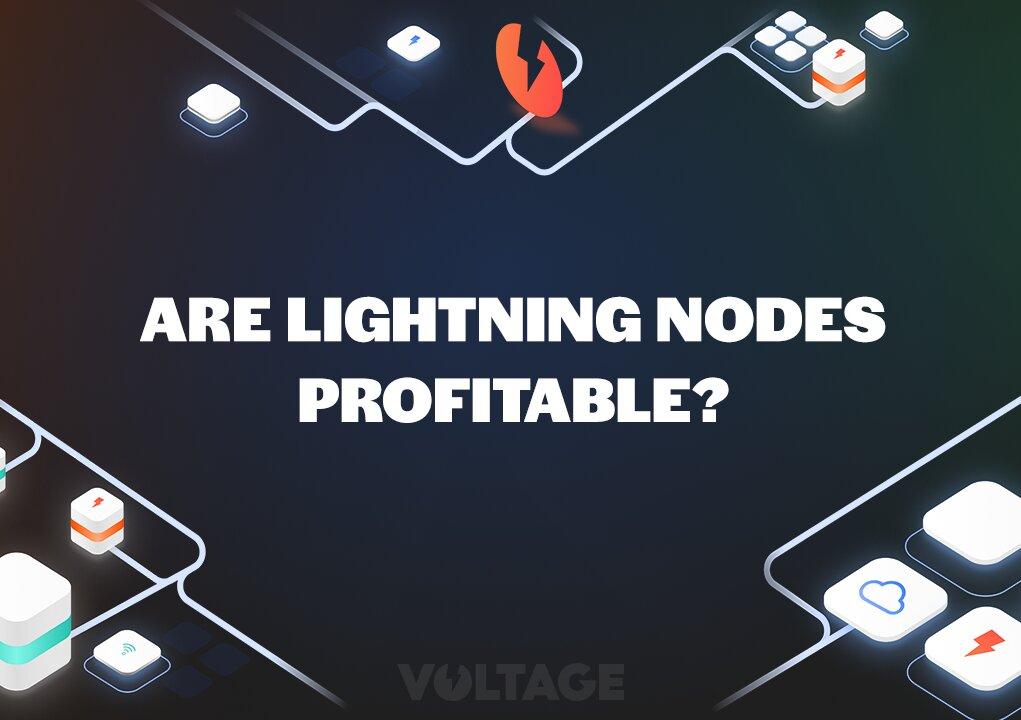 Are Lightning Nodes Profitable?