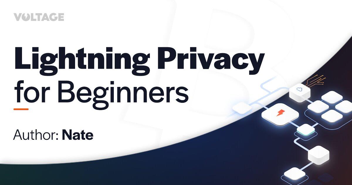 Lightning Privacy for Beginners