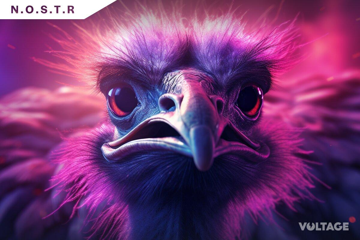 The Essential Guide to Nostr Relays: From Understanding to Implementation