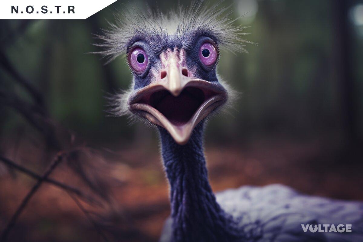 The Growth of Nostr: The Era of Decentralization