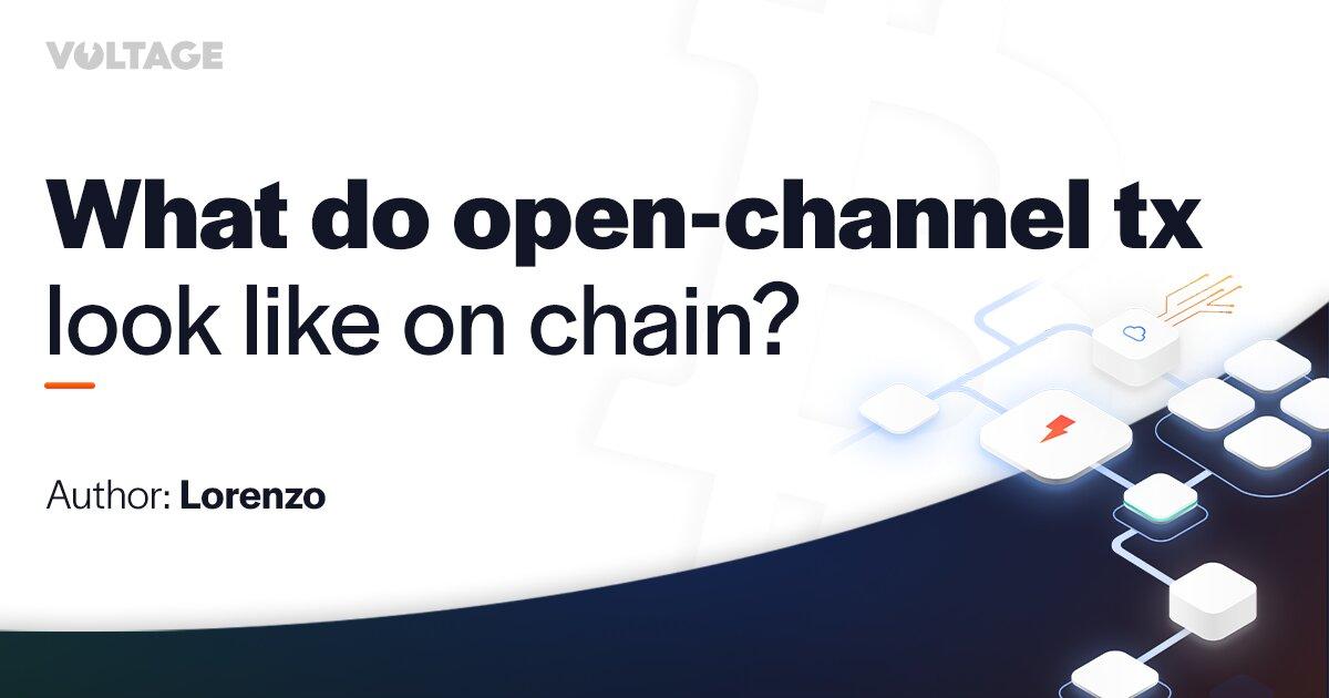What do Open-Channel Transactions Look Like On-Chain?