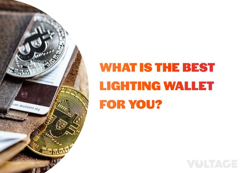 What is the best Lighting Wallet for you?